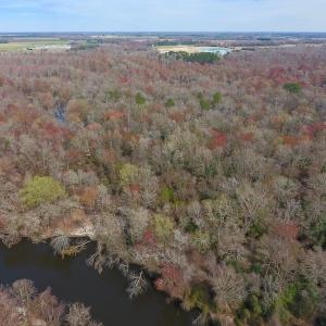 Photo of SOLD!  43.66 Acres of Creekfront Hunting Land For Sale in Greene County NC!