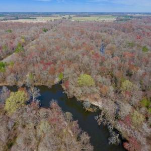 Photo of SOLD!  43.66 Acres of Creekfront Hunting Land For Sale in Greene County NC!