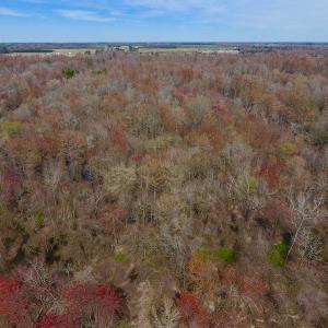 Photo of SOLD!  43.66 Acres of Creekfront Hunting Land For Sale in Greene County NC!