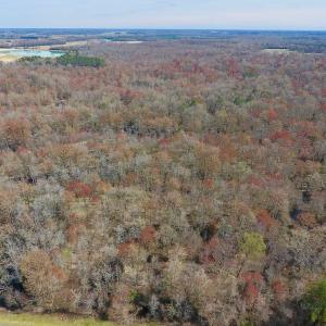 Photo of SOLD!  43.66 Acres of Creekfront Hunting Land For Sale in Greene County NC!