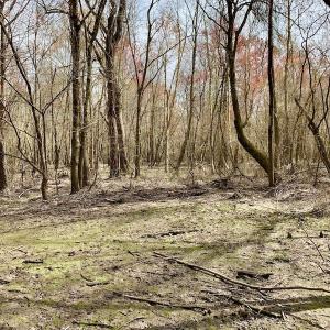 Photo of SOLD!  43.66 Acres of Creekfront Hunting Land For Sale in Greene County NC!