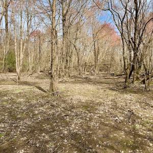 Photo of SOLD!  43.66 Acres of Creekfront Hunting Land For Sale in Greene County NC!