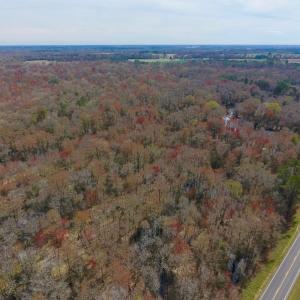 Photo of SOLD!  43.66 Acres of Creekfront Hunting Land For Sale in Greene County NC!