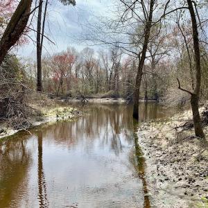 Photo of SOLD!  43.66 Acres of Creekfront Hunting Land For Sale in Greene County NC!