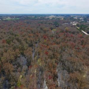Photo of SOLD!  43.66 Acres of Creekfront Hunting Land For Sale in Greene County NC!