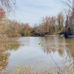 Photo of SOLD!  43.66 Acres of Creekfront Hunting Land For Sale in Greene County NC!