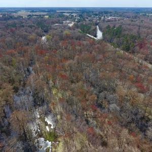 Photo of SOLD!  43.66 Acres of Creekfront Hunting Land For Sale in Greene County NC!