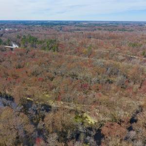 Photo of SOLD!  43.66 Acres of Creekfront Hunting Land For Sale in Greene County NC!