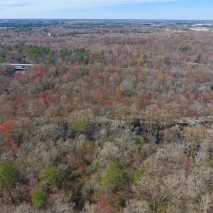 Photo of SOLD!  43.66 Acres of Creekfront Hunting Land For Sale in Greene County NC!