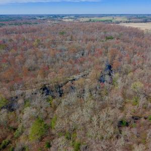 Photo of SOLD!  43.66 Acres of Creekfront Hunting Land For Sale in Greene County NC!