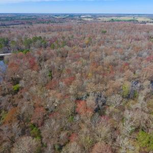 Photo of SOLD!  43.66 Acres of Creekfront Hunting Land For Sale in Greene County NC!