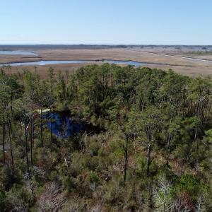 Photo of SOLD!  11 Acre Mini Farm with Sound View For Sale in Currituck County NC!
