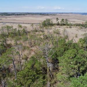 Photo of SOLD!  11 Acre Mini Farm with Sound View For Sale in Currituck County NC!