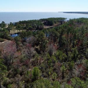 Photo of SOLD!  11 Acre Mini Farm with Sound View For Sale in Currituck County NC!