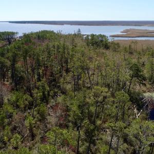 Photo of SOLD!  11 Acre Mini Farm with Sound View For Sale in Currituck County NC!