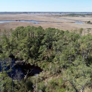 Photo of SOLD!  11 Acre Mini Farm with Sound View For Sale in Currituck County NC!