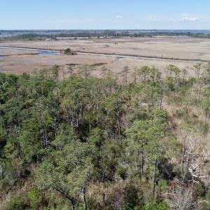 Photo of SOLD!  11 Acre Mini Farm with Sound View For Sale in Currituck County NC!