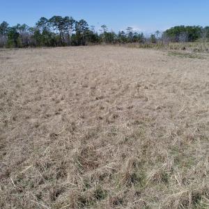 Photo of SOLD!  11 Acre Mini Farm with Sound View For Sale in Currituck County NC!