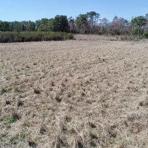 Photo of SOLD!  11 Acre Mini Farm with Sound View For Sale in Currituck County NC!
