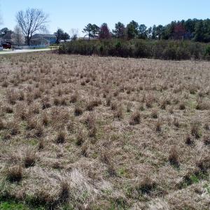 Photo of SOLD!  11 Acre Mini Farm with Sound View For Sale in Currituck County NC!