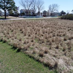 Photo of SOLD!  11 Acre Mini Farm with Sound View For Sale in Currituck County NC!