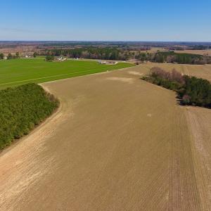 Photo of UNDER CONTRACT!  56.69 Acres of Farm and Timber Land For Sale in Wilson County NC!