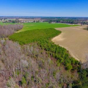 Photo of UNDER CONTRACT!  56.69 Acres of Farm and Timber Land For Sale in Wilson County NC!