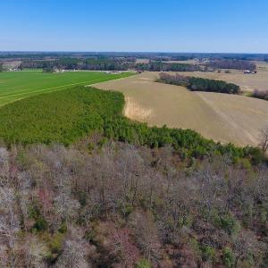 Photo of UNDER CONTRACT!  56.69 Acres of Farm and Timber Land For Sale in Wilson County NC!