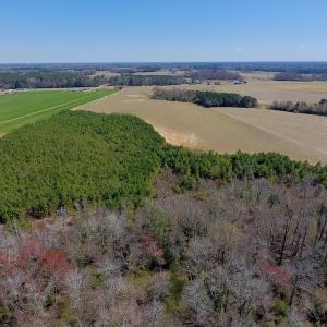 Photo of UNDER CONTRACT!  56.69 Acres of Farm and Timber Land For Sale in Wilson County NC!