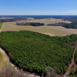 Photo of UNDER CONTRACT!  56.69 Acres of Farm and Timber Land For Sale in Wilson County NC!