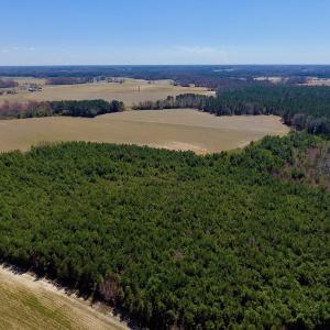 Photo of UNDER CONTRACT!  56.69 Acres of Farm and Timber Land For Sale in Wilson County NC!