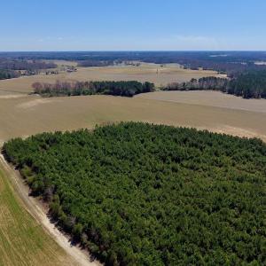 Photo of UNDER CONTRACT!  56.69 Acres of Farm and Timber Land For Sale in Wilson County NC!