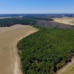 Photo of UNDER CONTRACT!  56.69 Acres of Farm and Timber Land For Sale in Wilson County NC!