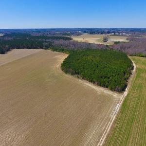 Photo of UNDER CONTRACT!  56.69 Acres of Farm and Timber Land For Sale in Wilson County NC!