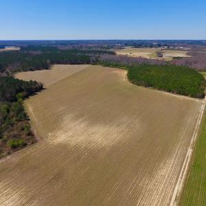Photo of UNDER CONTRACT!  56.69 Acres of Farm and Timber Land For Sale in Wilson County NC!
