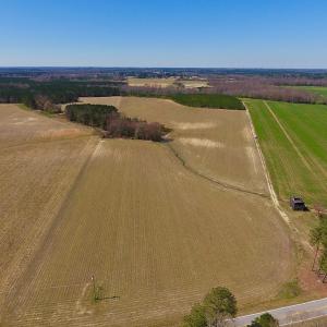Photo of UNDER CONTRACT!  56.69 Acres of Farm and Timber Land For Sale in Wilson County NC!
