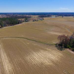 Photo of UNDER CONTRACT!  56.69 Acres of Farm and Timber Land For Sale in Wilson County NC!
