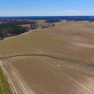 Photo of UNDER CONTRACT!  56.69 Acres of Farm and Timber Land For Sale in Wilson County NC!