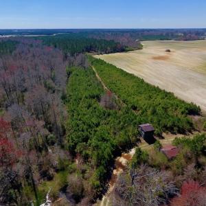 Photo of UNDER CONTRACT!  56.69 Acres of Farm and Timber Land For Sale in Wilson County NC!