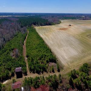Photo of UNDER CONTRACT!  56.69 Acres of Farm and Timber Land For Sale in Wilson County NC!