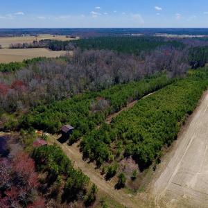 Photo of UNDER CONTRACT!  56.69 Acres of Farm and Timber Land For Sale in Wilson County NC!