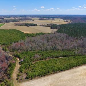 Photo of UNDER CONTRACT!  56.69 Acres of Farm and Timber Land For Sale in Wilson County NC!