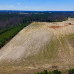 Photo of UNDER CONTRACT!  56.69 Acres of Farm and Timber Land For Sale in Wilson County NC!