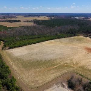Photo of UNDER CONTRACT!  56.69 Acres of Farm and Timber Land For Sale in Wilson County NC!