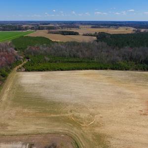 Photo of UNDER CONTRACT!  56.69 Acres of Farm and Timber Land For Sale in Wilson County NC!