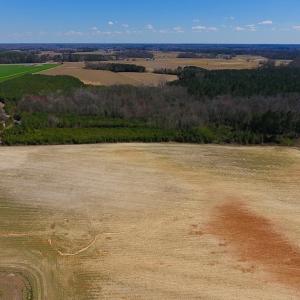 Photo of UNDER CONTRACT!  56.69 Acres of Farm and Timber Land For Sale in Wilson County NC!
