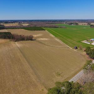 Photo of UNDER CONTRACT!  56.69 Acres of Farm and Timber Land For Sale in Wilson County NC!