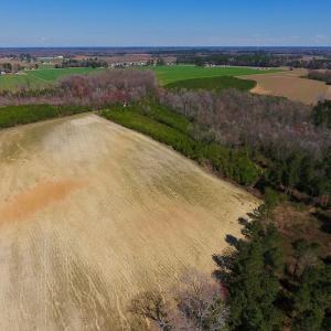Photo of UNDER CONTRACT!  56.69 Acres of Farm and Timber Land For Sale in Wilson County NC!