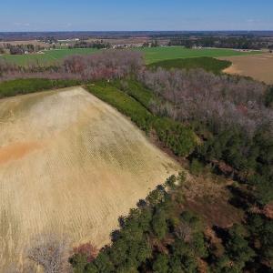 Photo of UNDER CONTRACT!  56.69 Acres of Farm and Timber Land For Sale in Wilson County NC!
