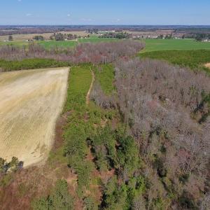 Photo of UNDER CONTRACT!  56.69 Acres of Farm and Timber Land For Sale in Wilson County NC!